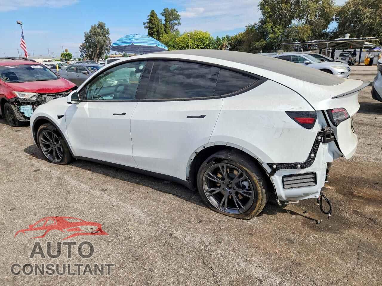 TESLA MODEL Y 2025 - 7SAYGDEDXSF257014