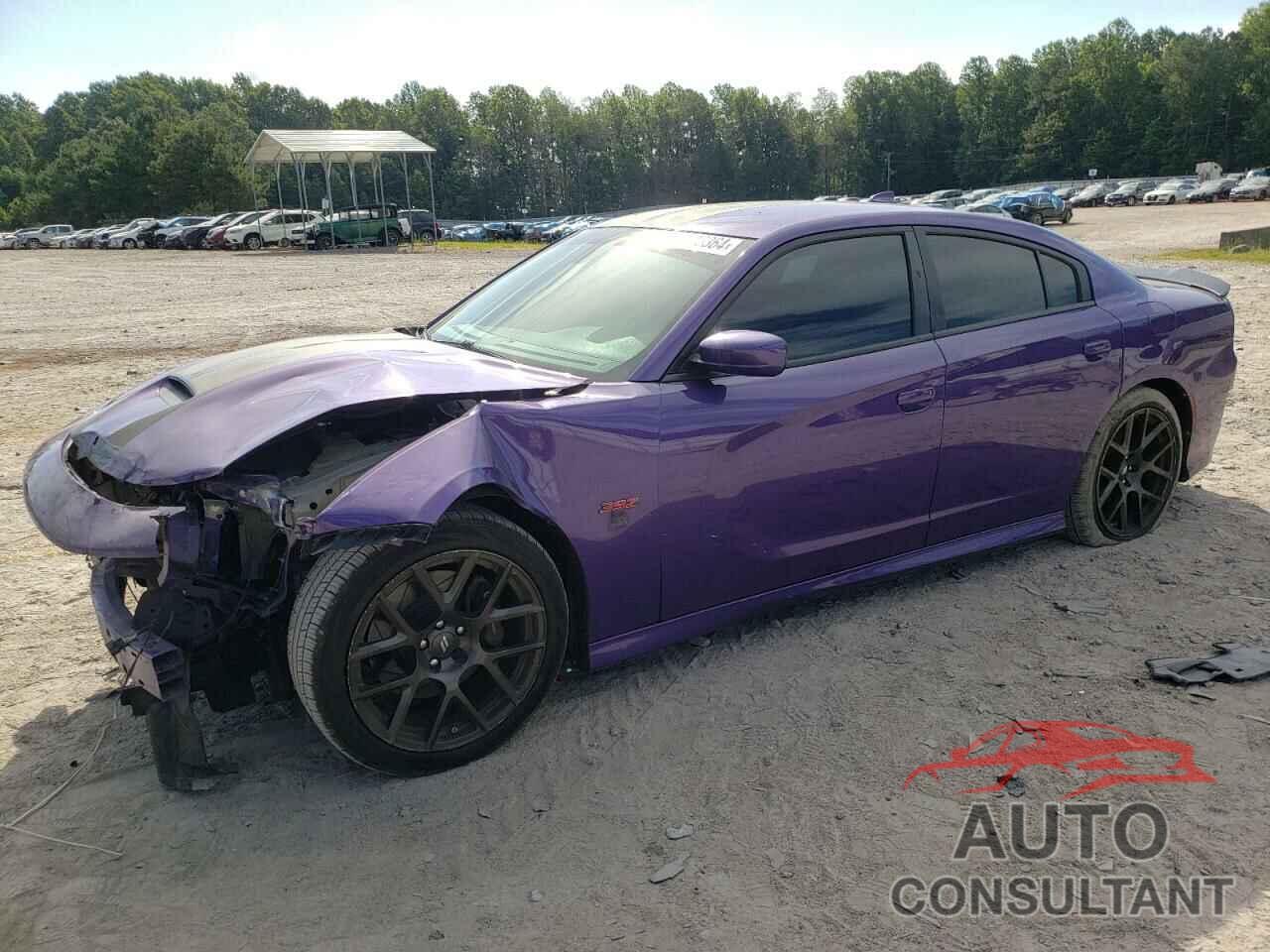 DODGE CHARGER 2018 - 2C3CDXGJ4JH342853