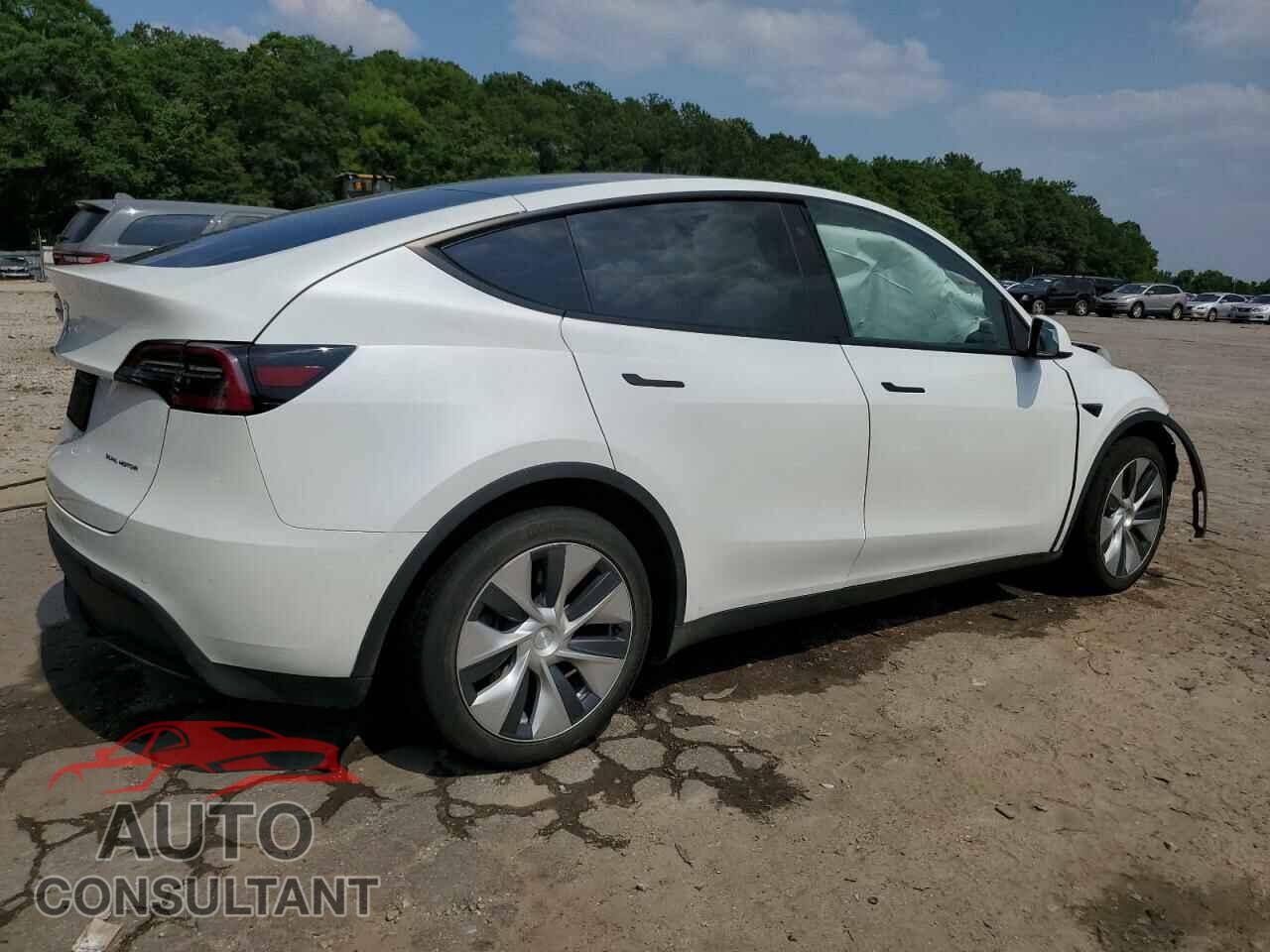 TESLA MODEL Y 2020 - 5YJYGDEEXLF031949