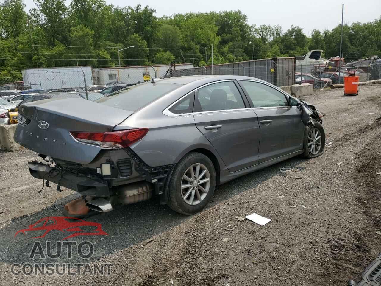HYUNDAI SONATA 2019 - 5NPE24AF9KH759830