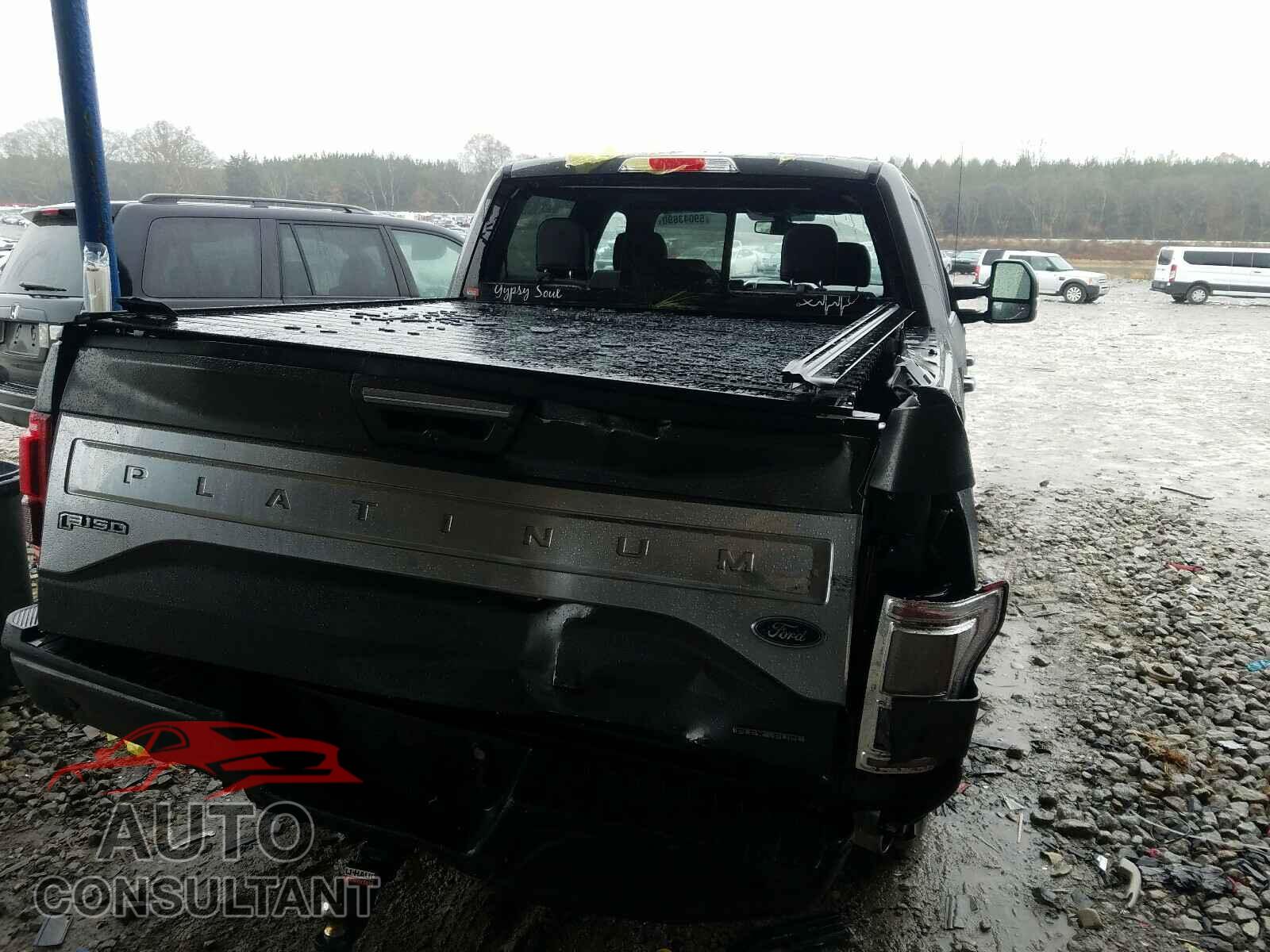 FORD F150 2016 - 1FTEW1CF7GFA97456
