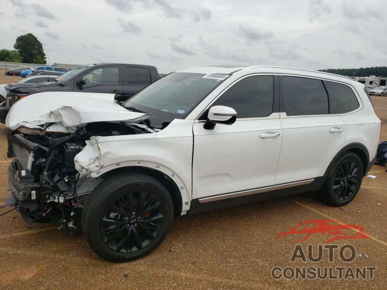 KIA TELLURIDE 2020 - 5XYP5DHC7LG045831