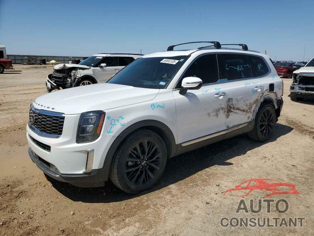 KIA TELLURIDE 2021 - 5XYP5DHC5MG175690