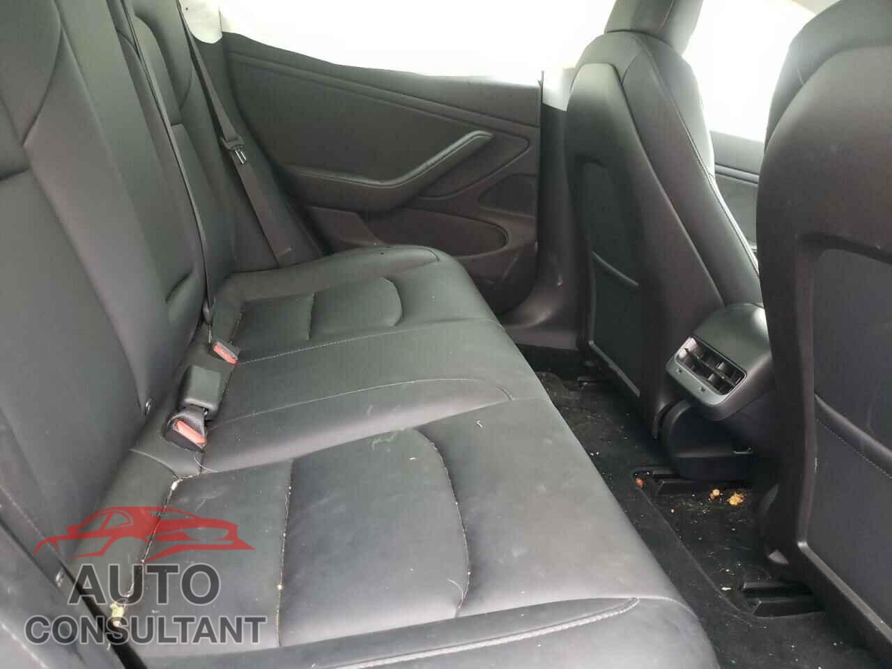 TESLA MODEL 3 2019 - 5YJ3E1EB5KF441982
