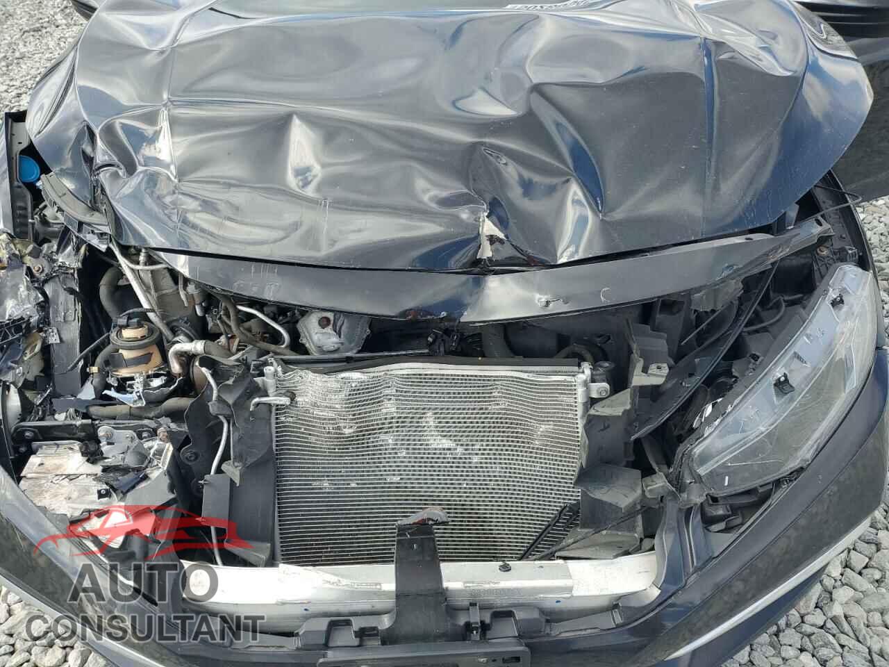 HONDA CIVIC 2019 - 2HGFC2F65KH538508