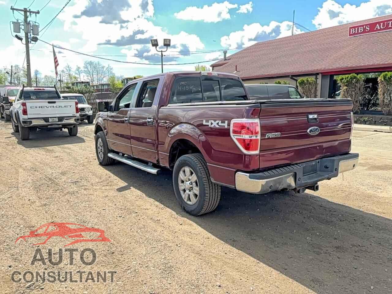 FORD F150 2010 - 1FTEW1E88AFD59975