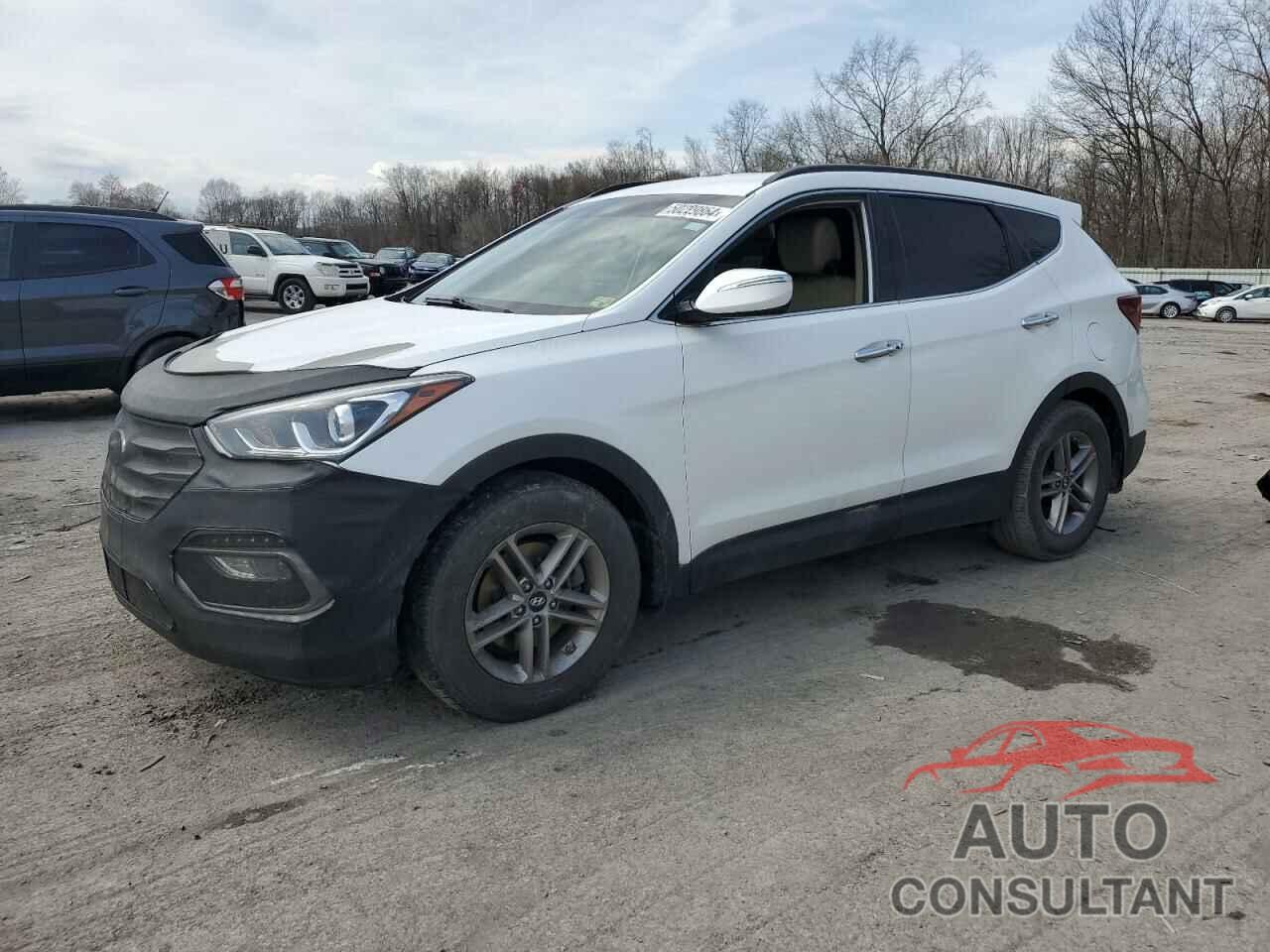 HYUNDAI SANTA FE 2017 - 5NMZUDLB6HH013105