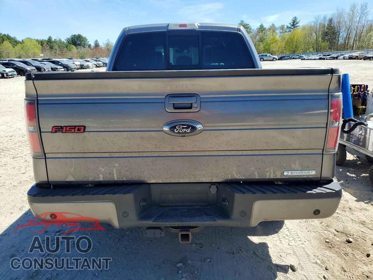 FORD F150 2013 - 1FTFW1CT0DFC20391