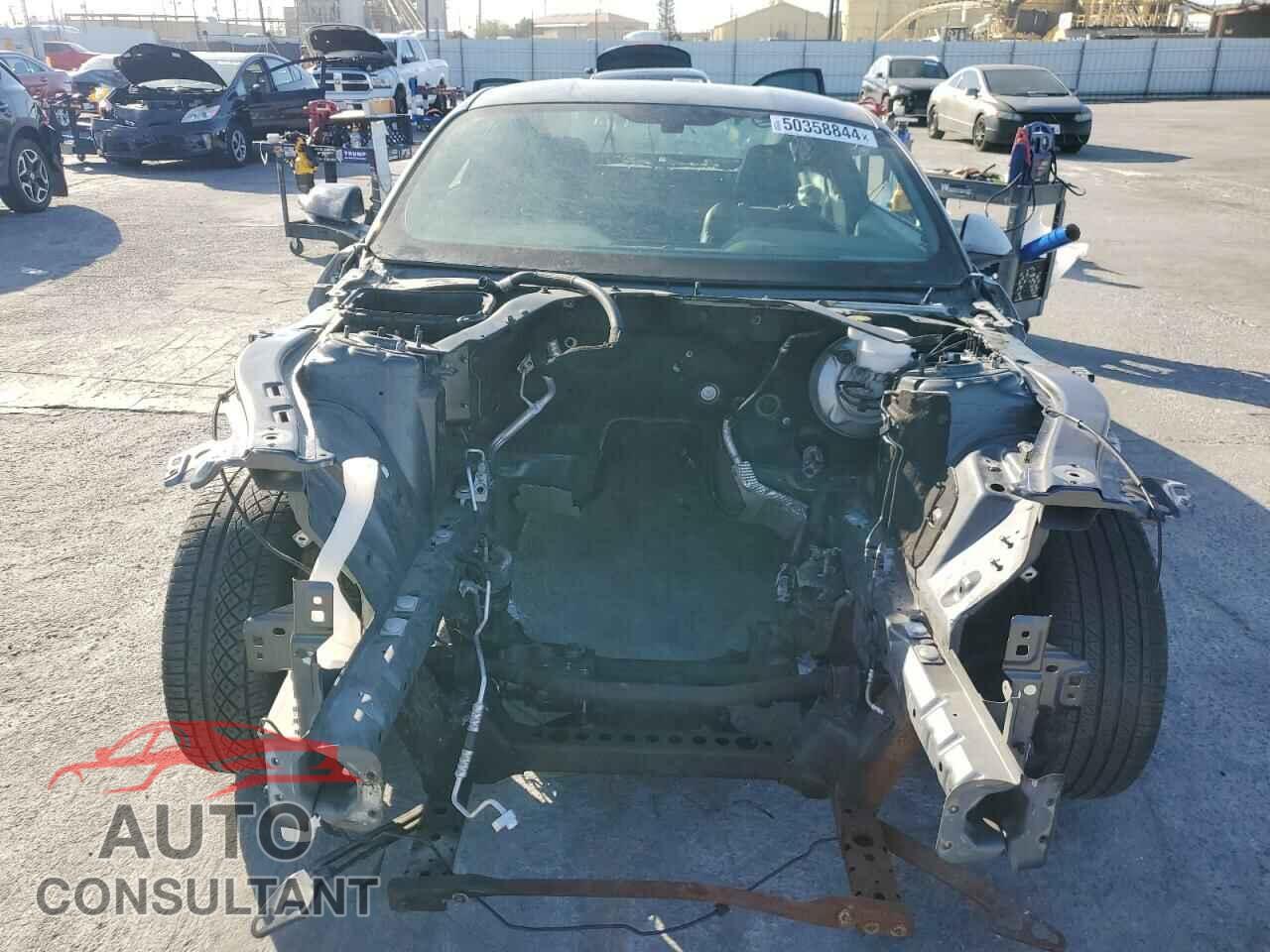 FORD MUSTANG 2019 - 1FA6P8CF1K5143832