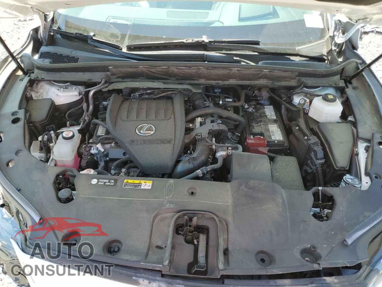 LEXUS RX350 2023 - 2T2BAMCA8PC006271
