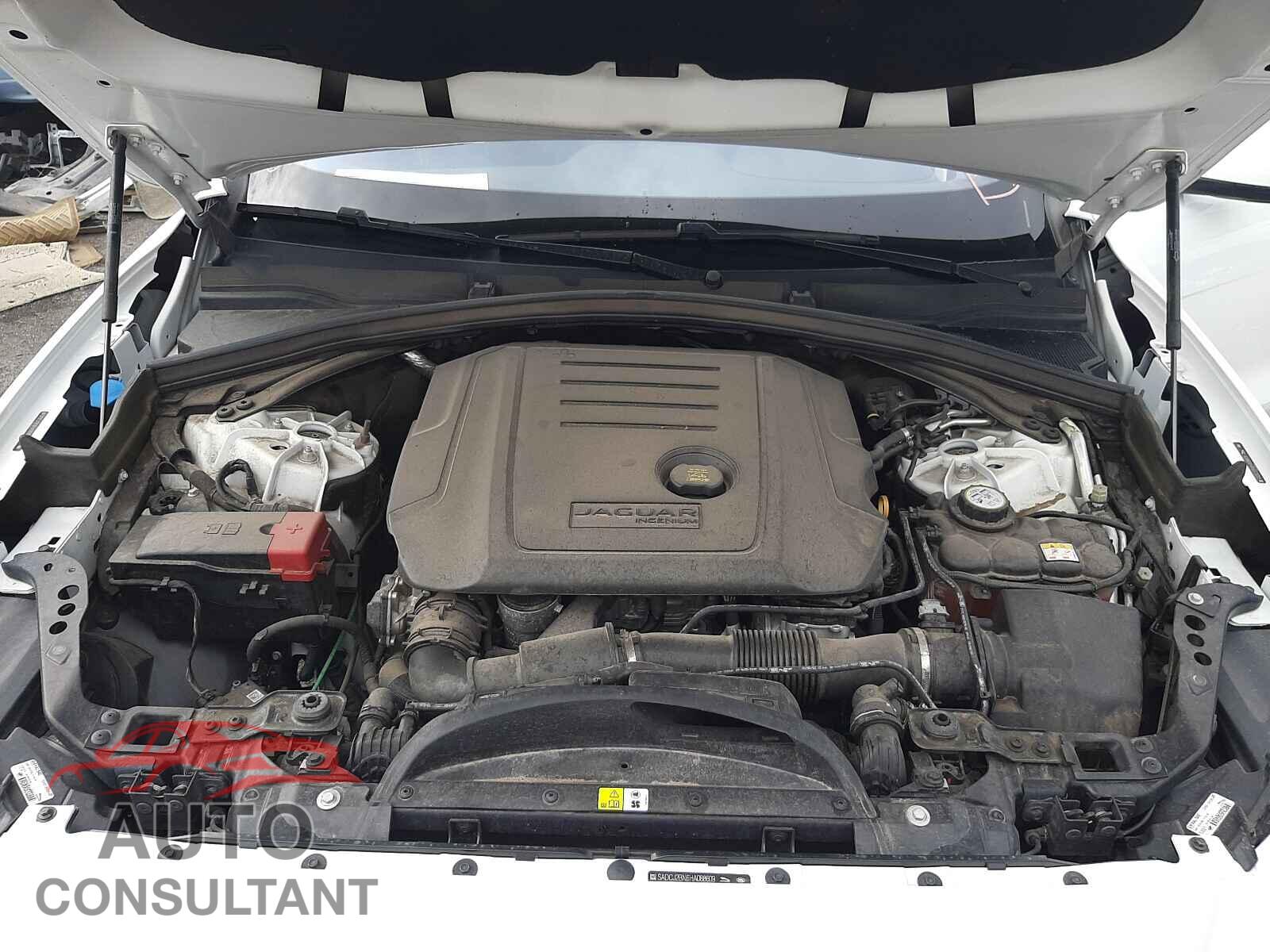 JAGUAR F-PACE 2017 - SADCJ2BN6HA088609