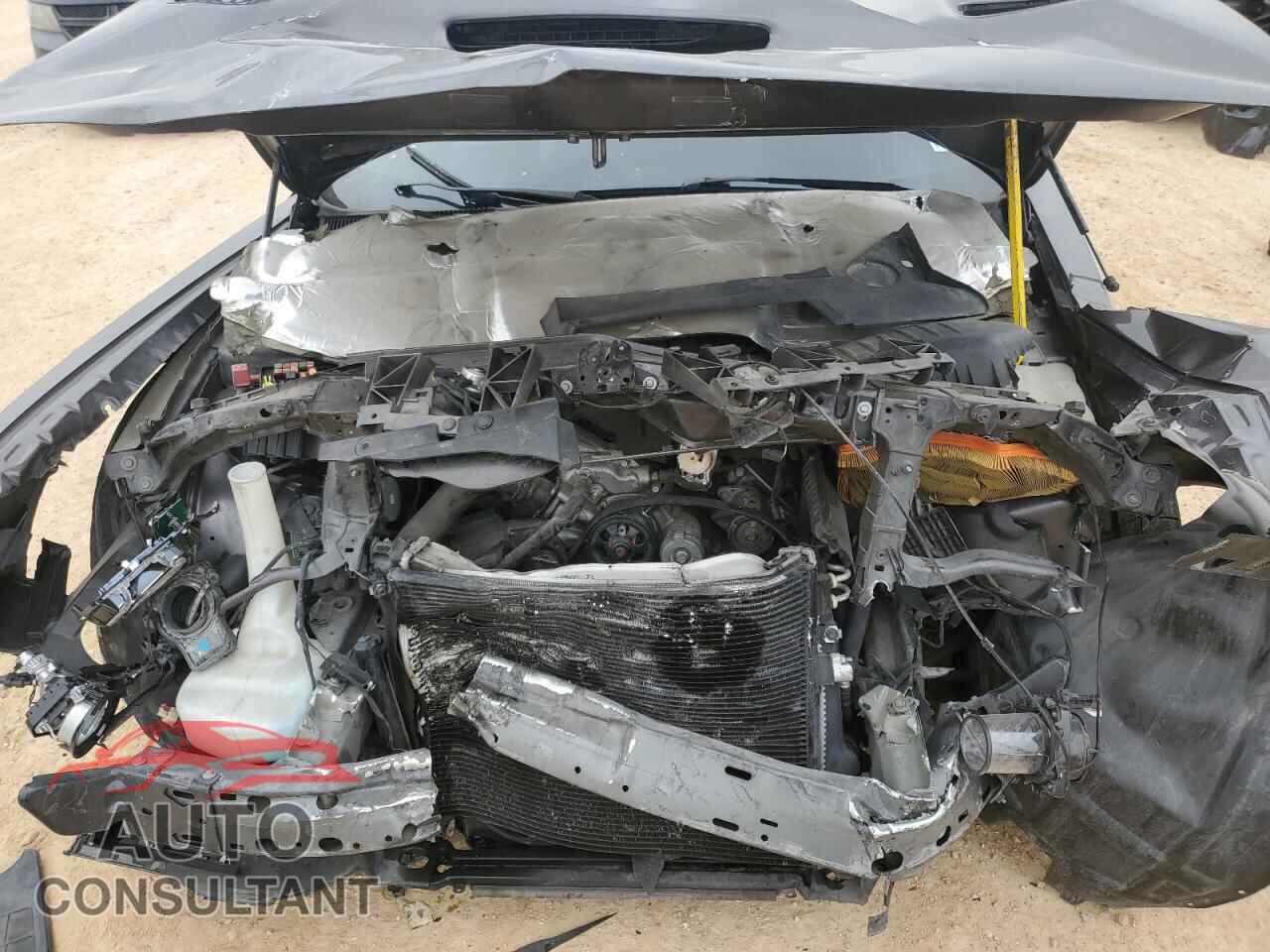 DODGE CHALLENGER 2019 - 2C3CDZFJ3KH618521