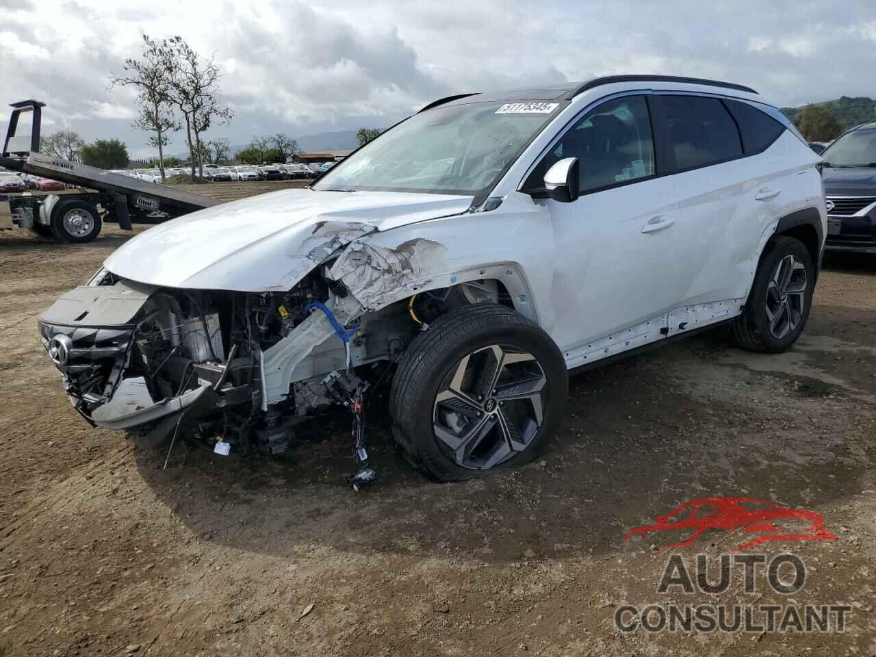 HYUNDAI TUCSON 2024 - KM8JCCD11RU162110