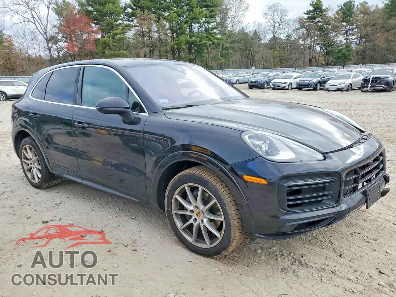PORSCHE CAYENNE 2019 - WP1AA2AY0KDA12578