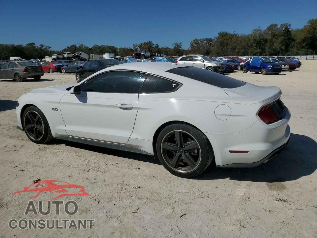 FORD MUSTANG 2019 - 1FA6P8CFXK5124549