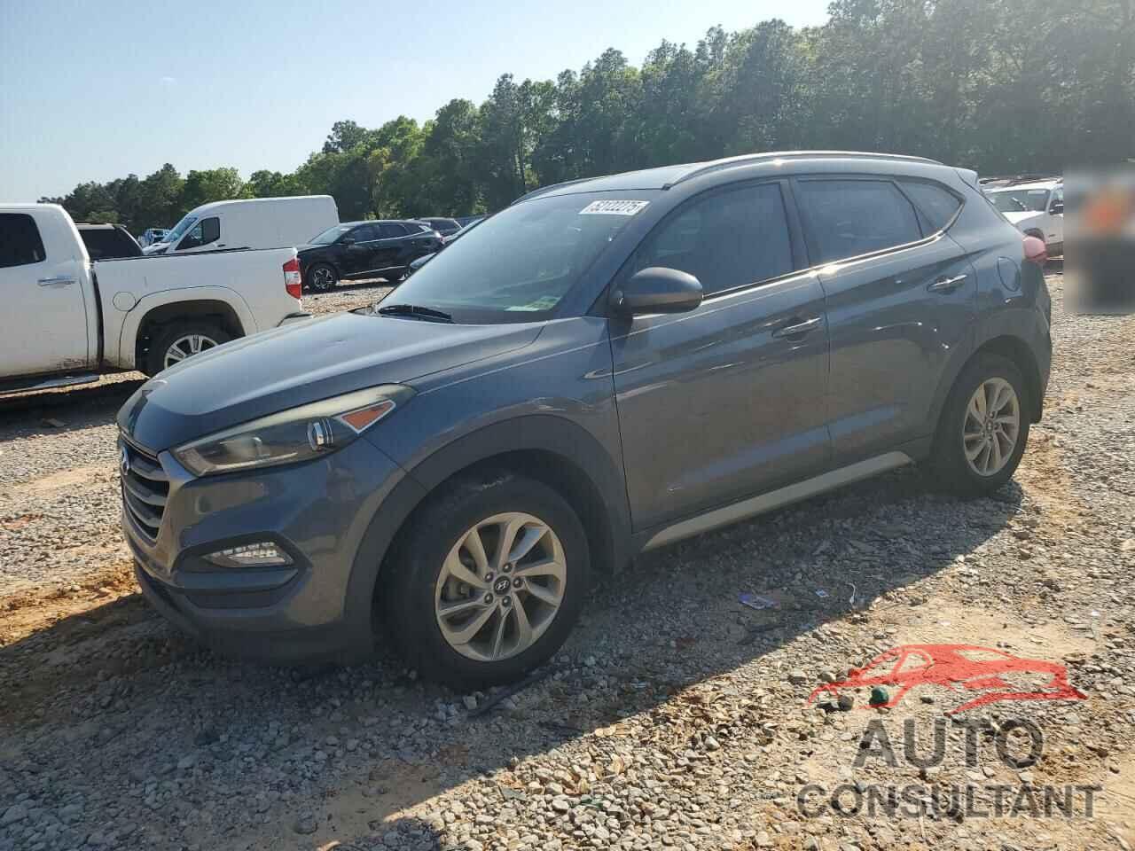 HYUNDAI TUCSON 2017 - KM8J33A43HU337566