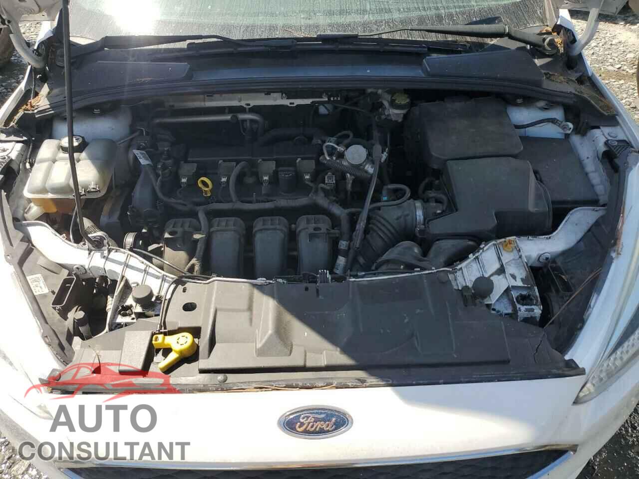 FORD FOCUS 2016 - 1FADP3F24GL352407