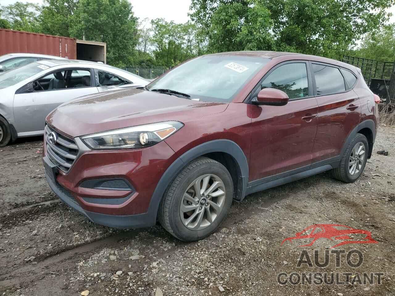 HYUNDAI TUCSON 2016 - KM8J23A43GU075792