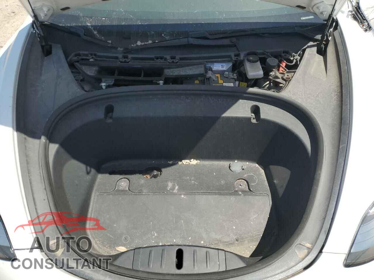 TESLA MODEL 3 2020 - 5YJ3E1EA5LF599280