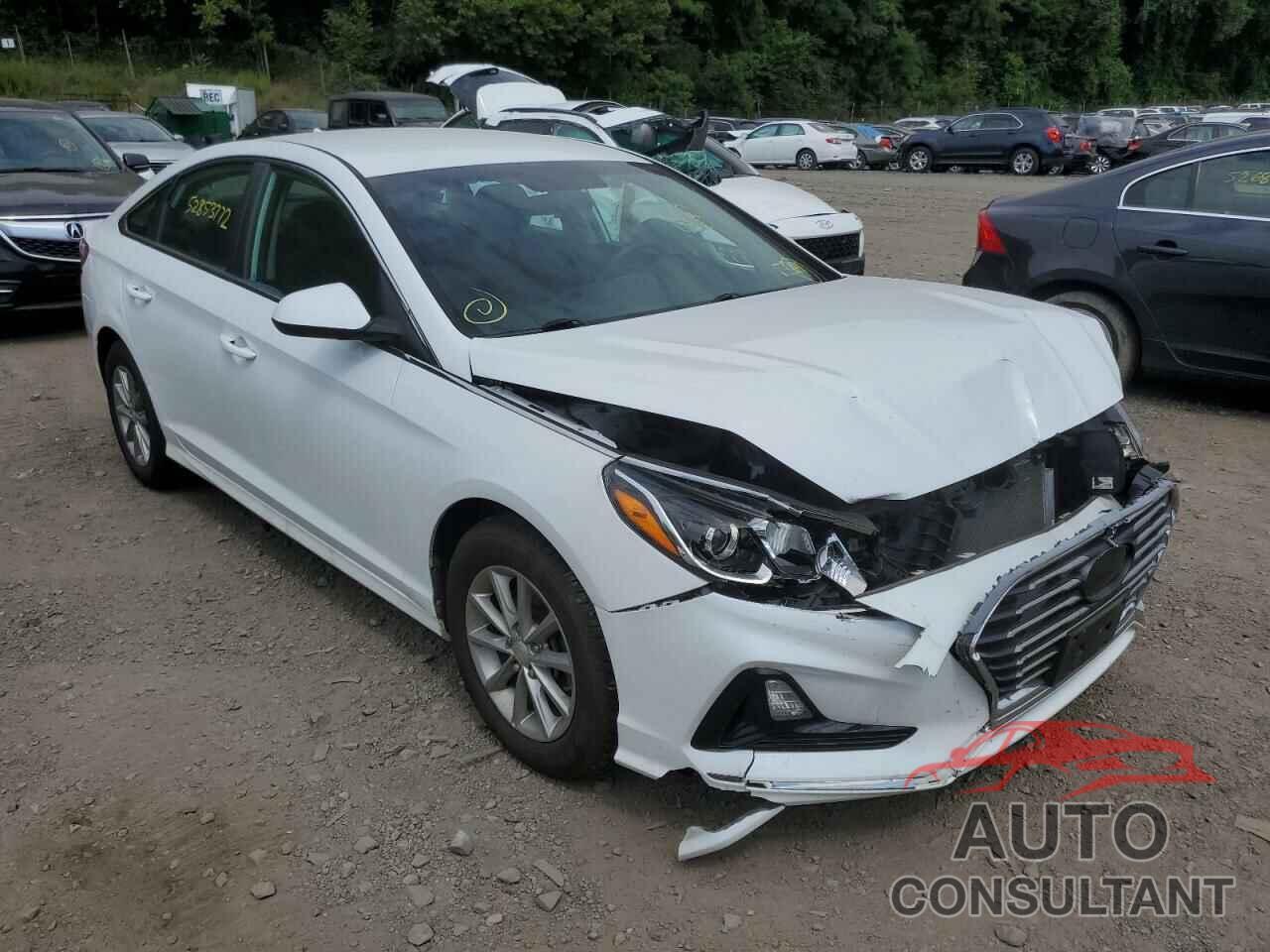HYUNDAI SONATA 2018 - 5NPE24AF2JH606446