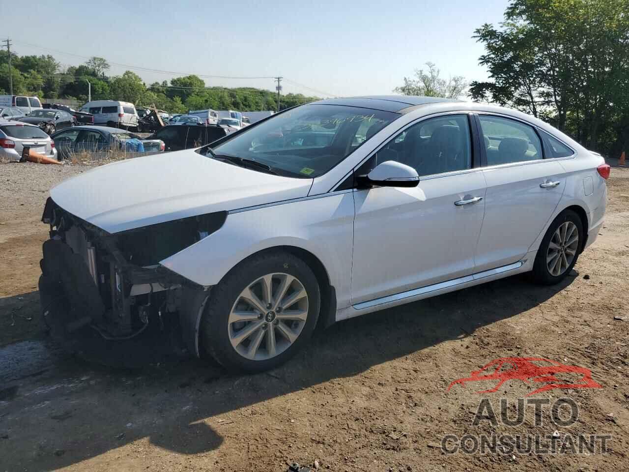 HYUNDAI SONATA 2016 - 5NPE34AF1GH413839