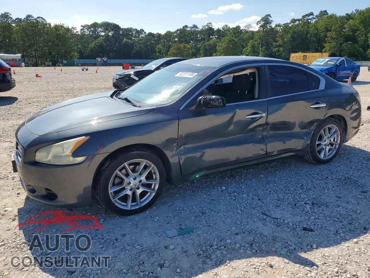 NISSAN MAXIMA 2013 - 1N4AA5AP1DC807390