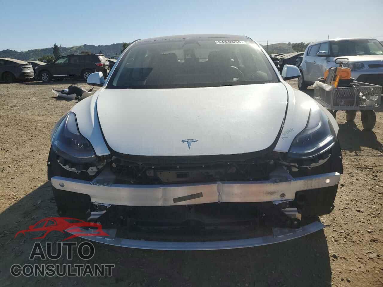 TESLA MODEL 3 2022 - 5YJ3E1EB2NF113777