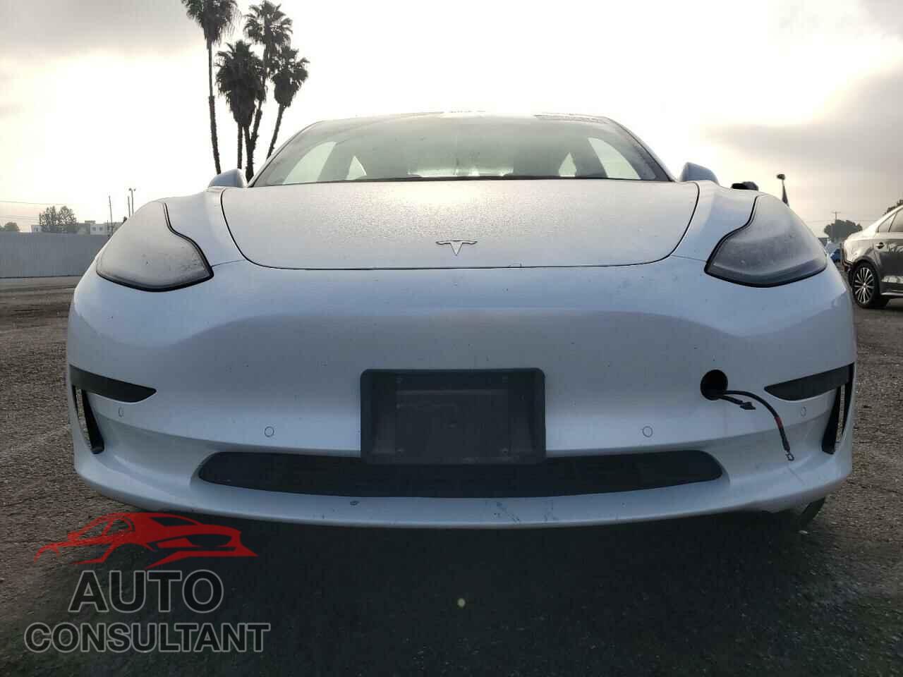 TESLA MODEL 3 2019 - 5YJ3E1EA5KF508068