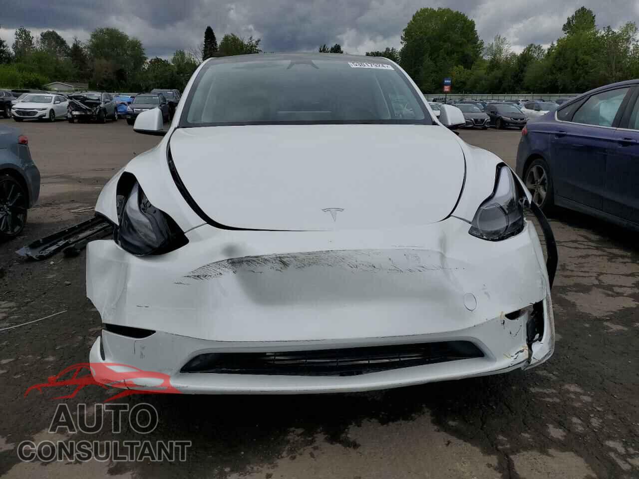 TESLA MODEL Y 2024 - 7SAYGAEE6RF985642