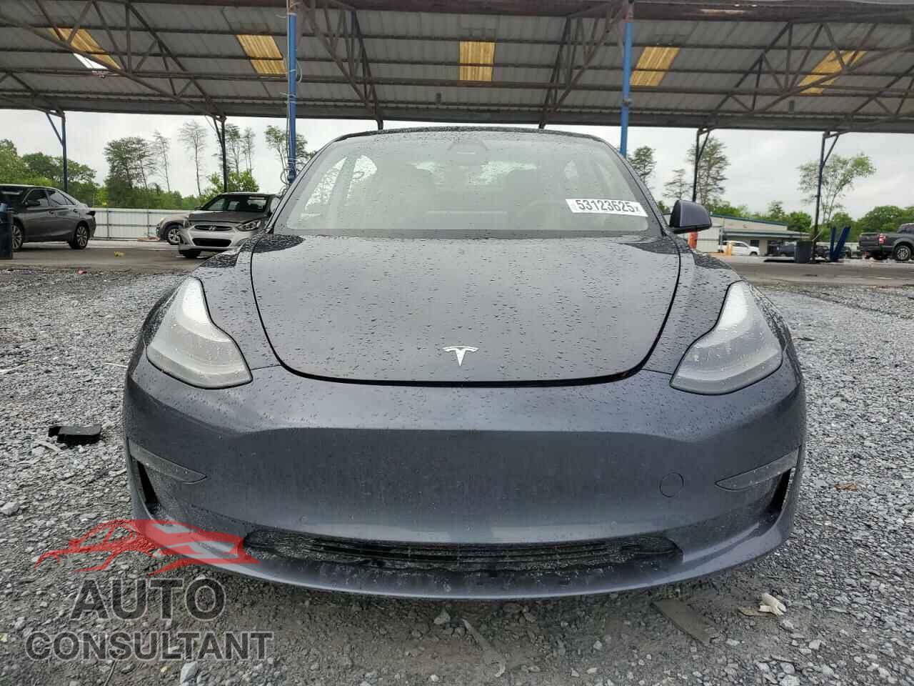 TESLA MODEL 3 2021 - 5YJ3E1EC0MF913646