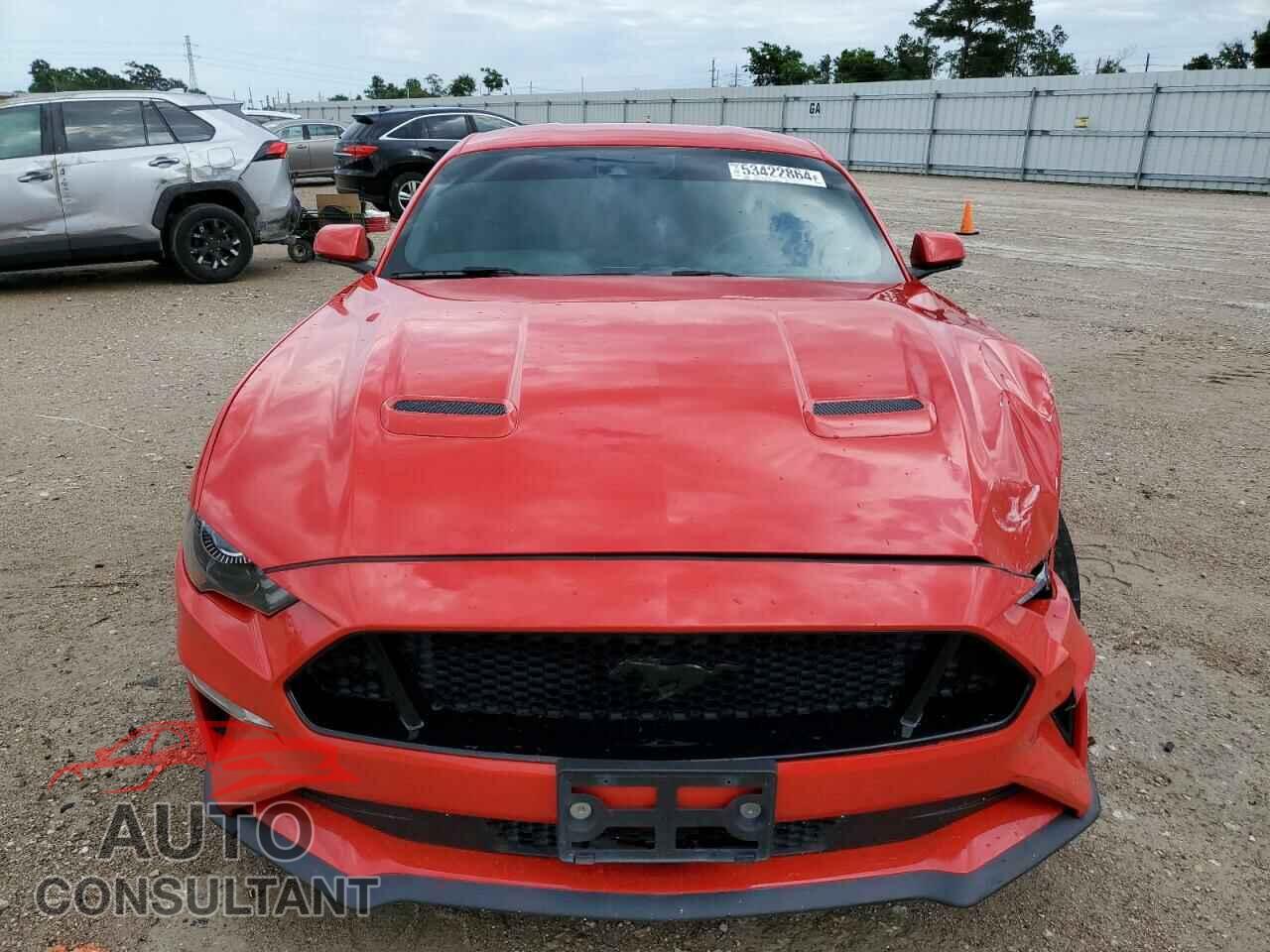 FORD MUSTANG 2019 - 1FA6P8CF7K5118062