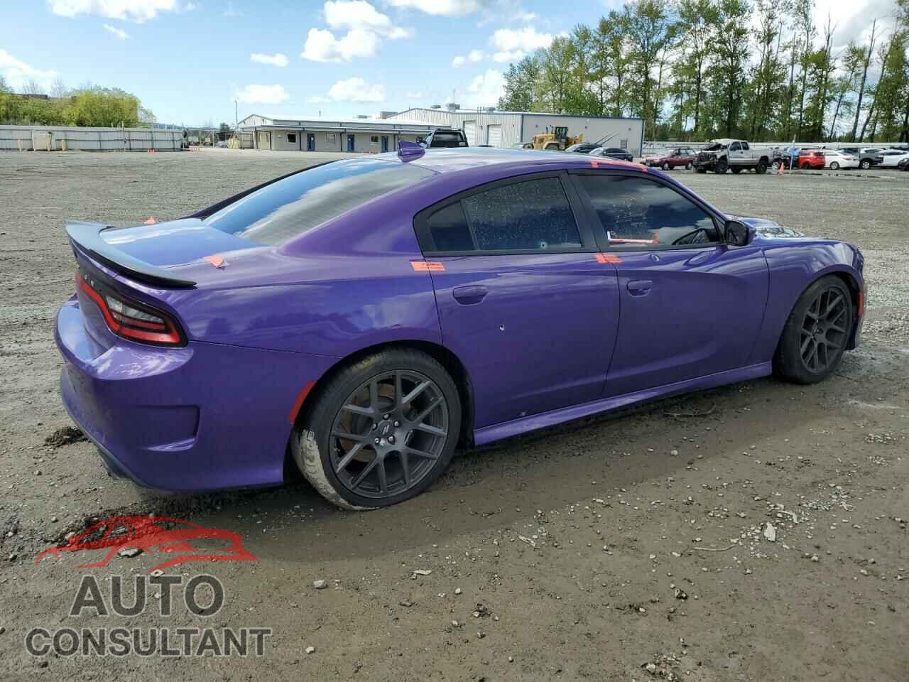 DODGE CHARGER 2019 - 2C3CDXGJ2KH646930