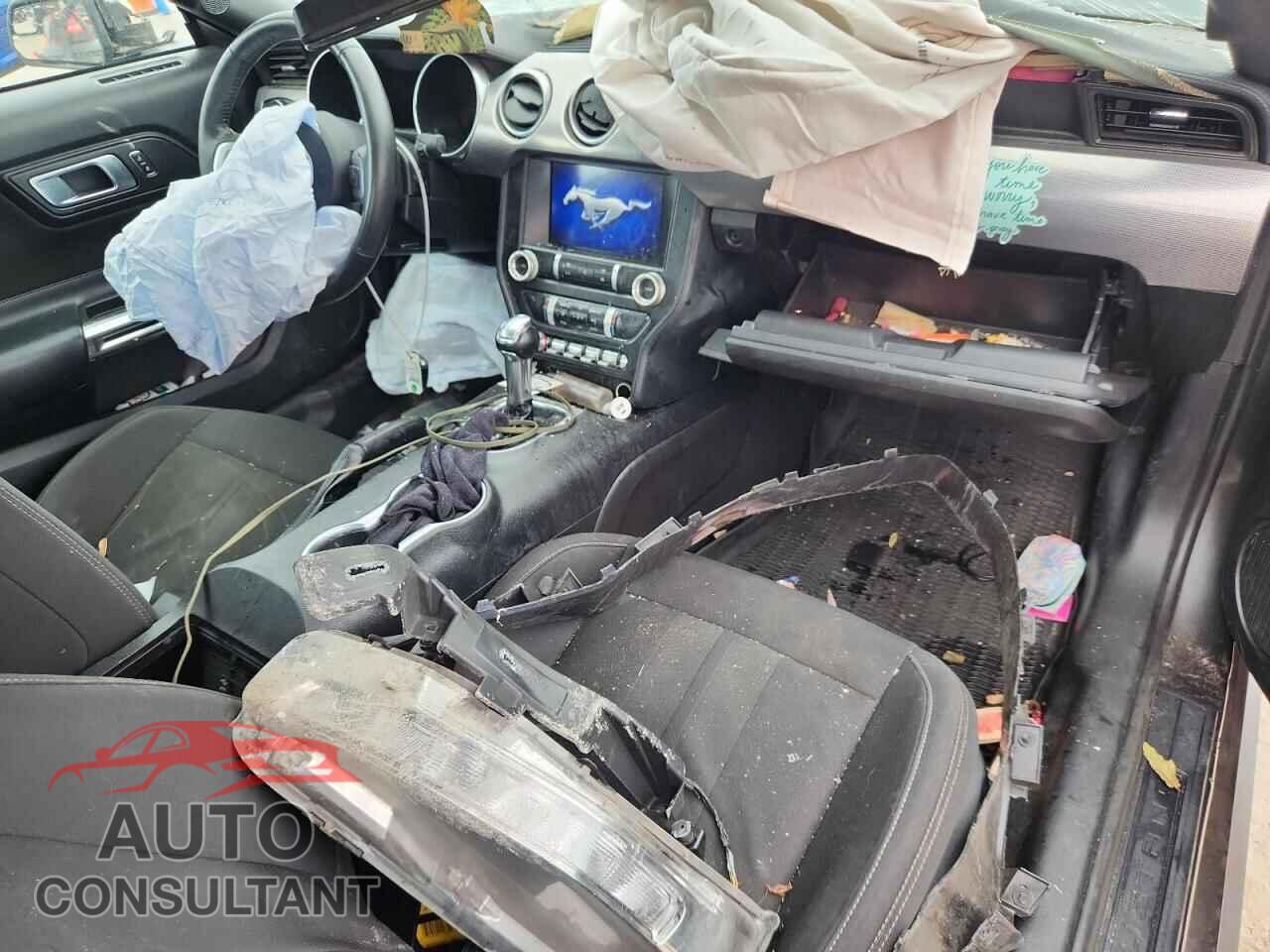 FORD ALL Models 2019 - 1FA6P8TH9K5199373