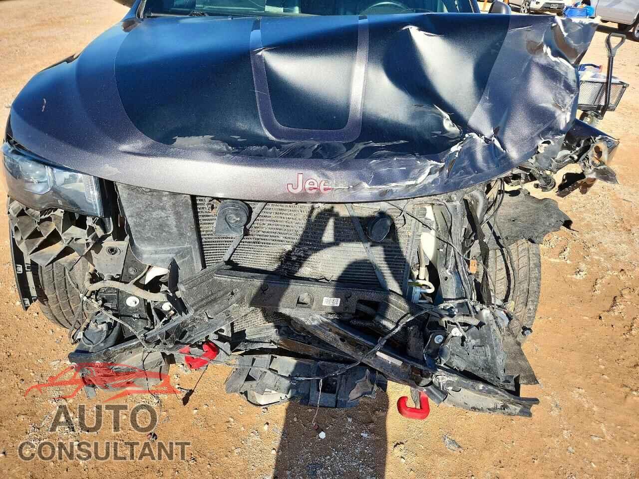 JEEP CHEROKEE 2019 - 1C4RJFLT9KC612535