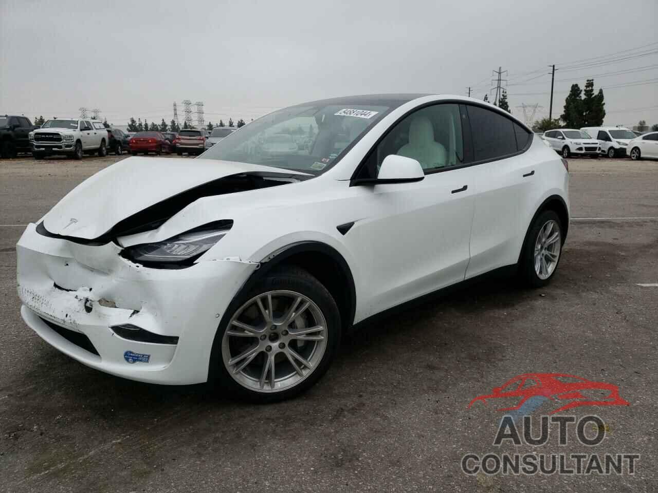 TESLA MODEL Y 2021 - 5YJYGDEE8MF213019