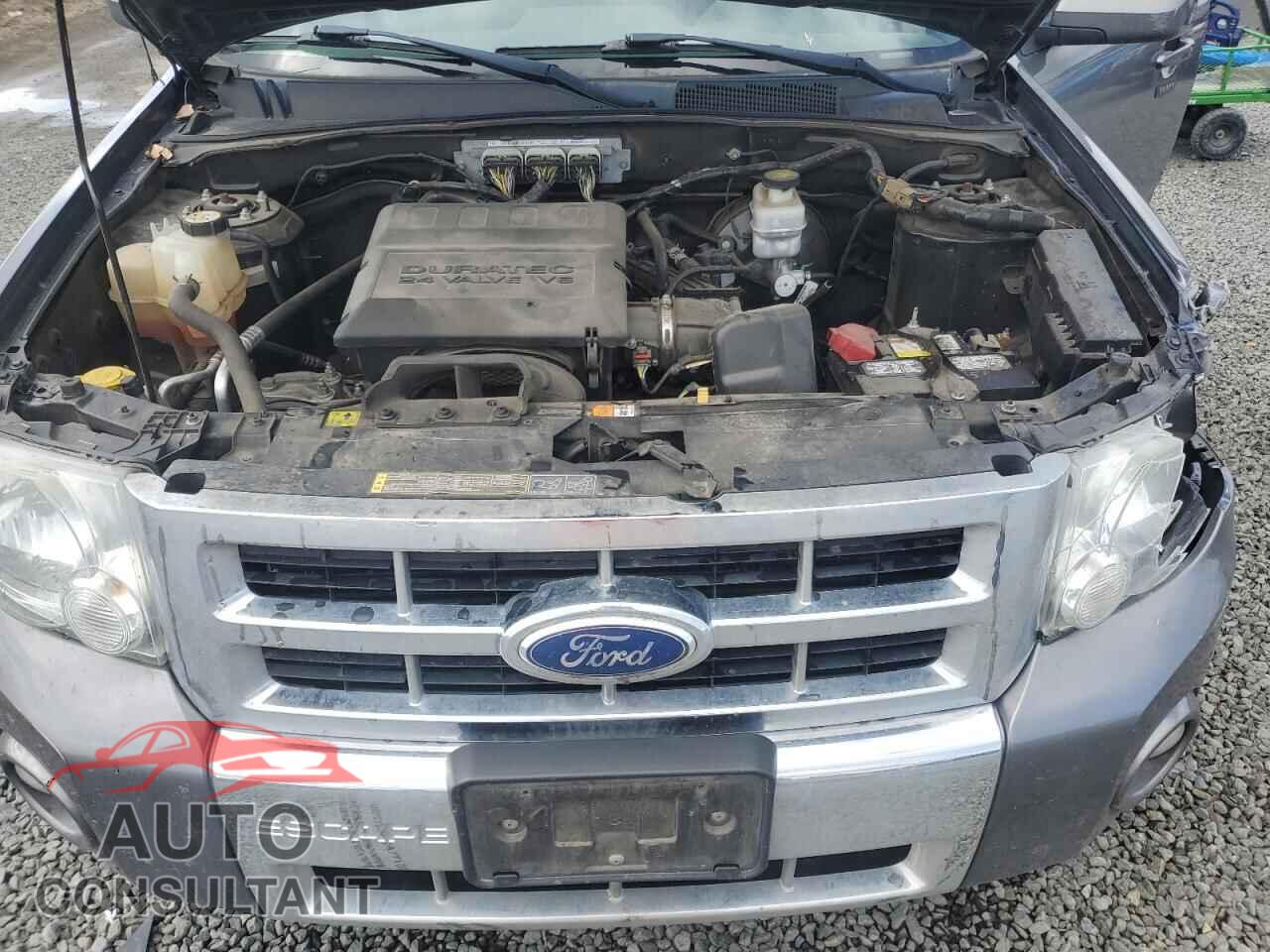FORD ESCAPE 2011 - 1FMCU0EG1BKB79062