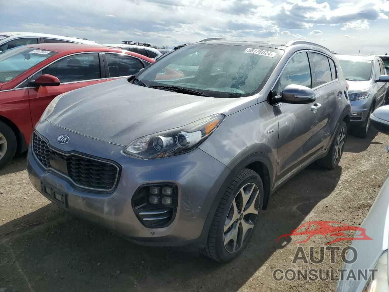 KIA SPORTAGE 2017 - KNDPRCA6XH7148264