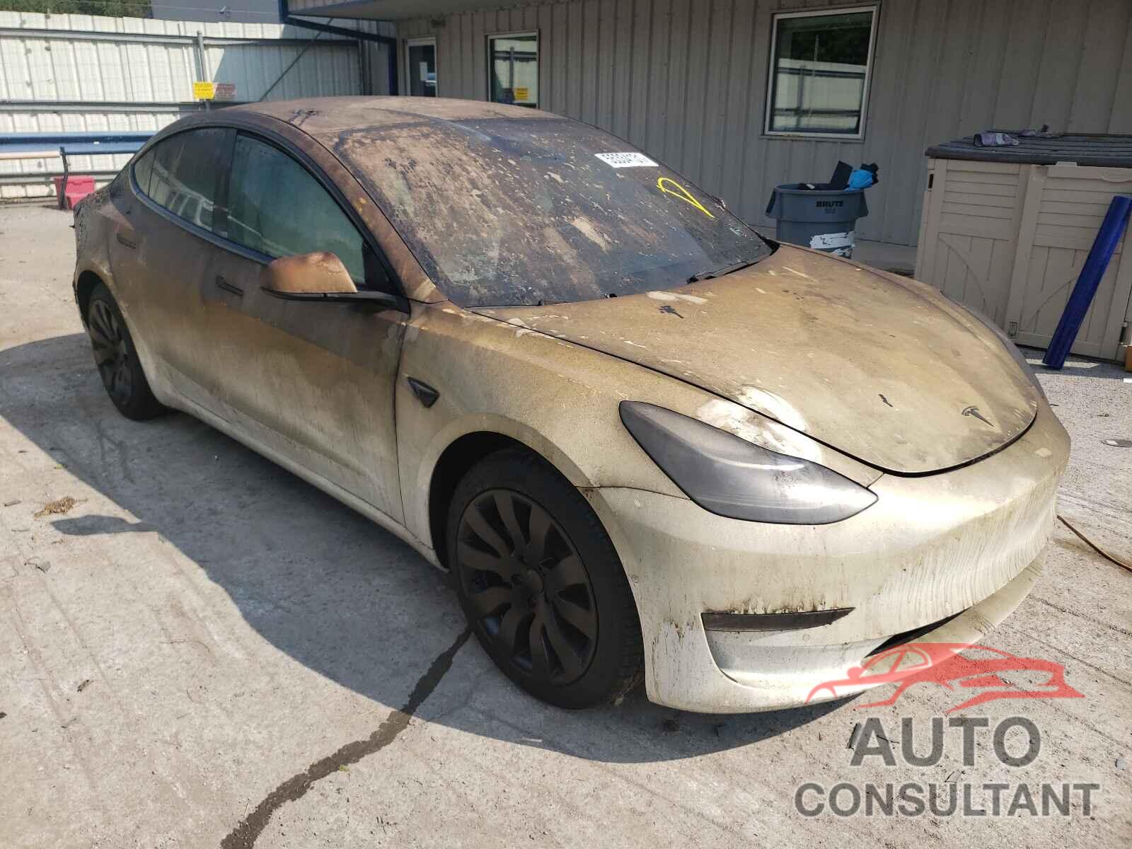 TESLA MODEL 3 2021 - 5YJ3E1EB9MF903284