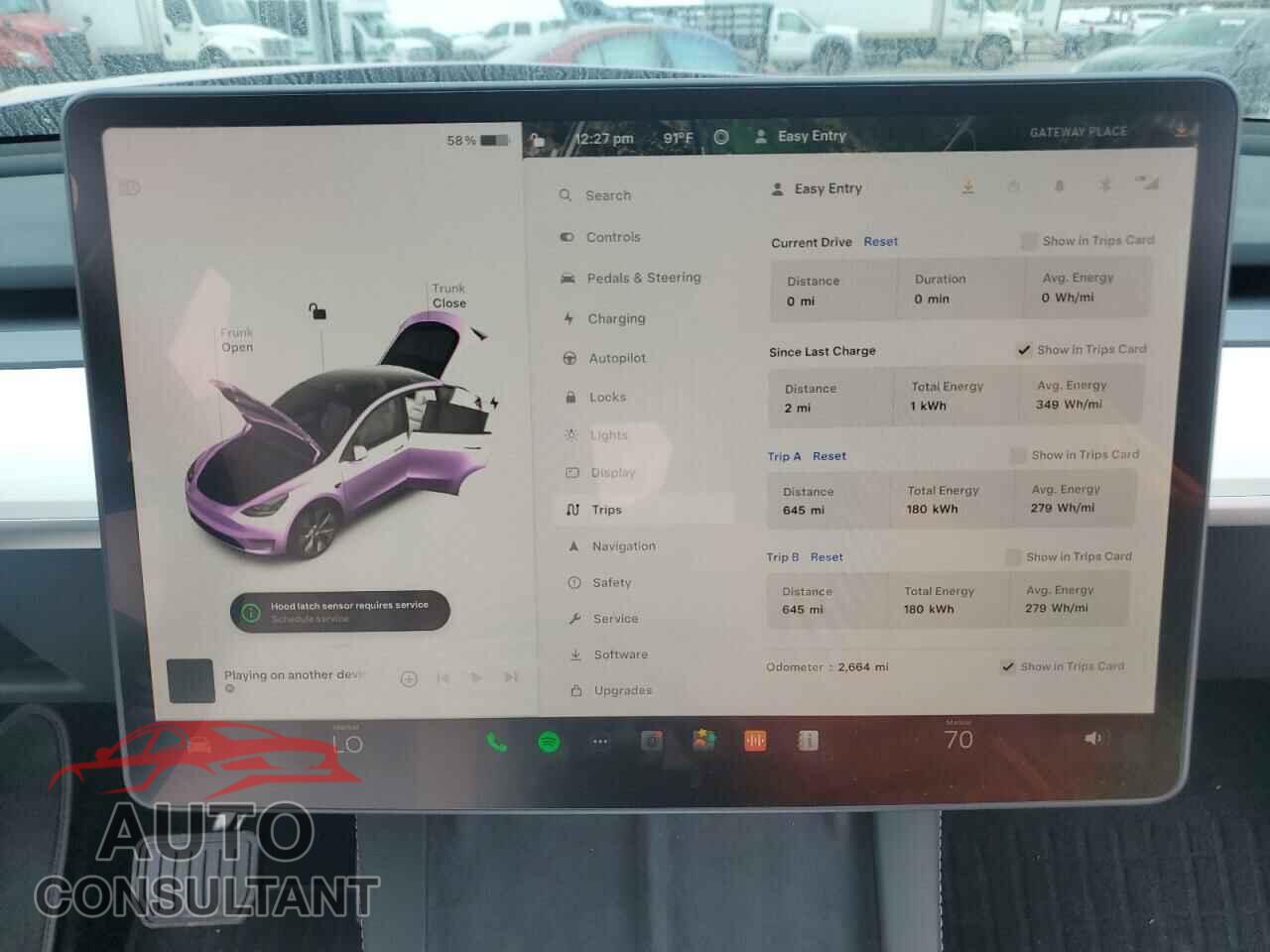 TESLA MODEL Y 2024 - 7SAYGDEE3RA236358