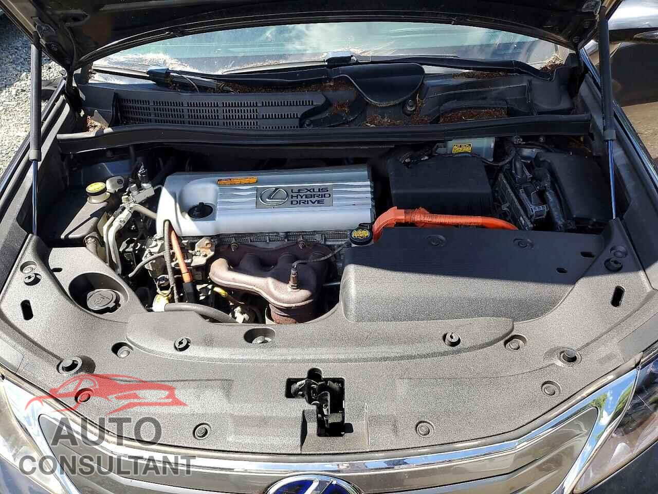 LEXUS HS 2010 - JTHBB1BA7A2029952