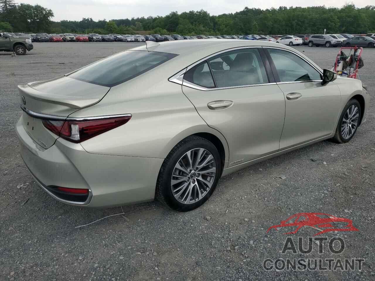 LEXUS ES300 2020 - 58AD21B12LU007265