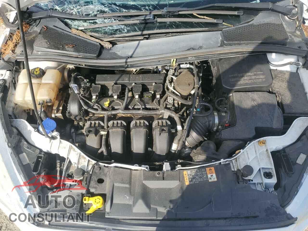 FORD FOCUS 2015 - 1FADP3K29FL338751