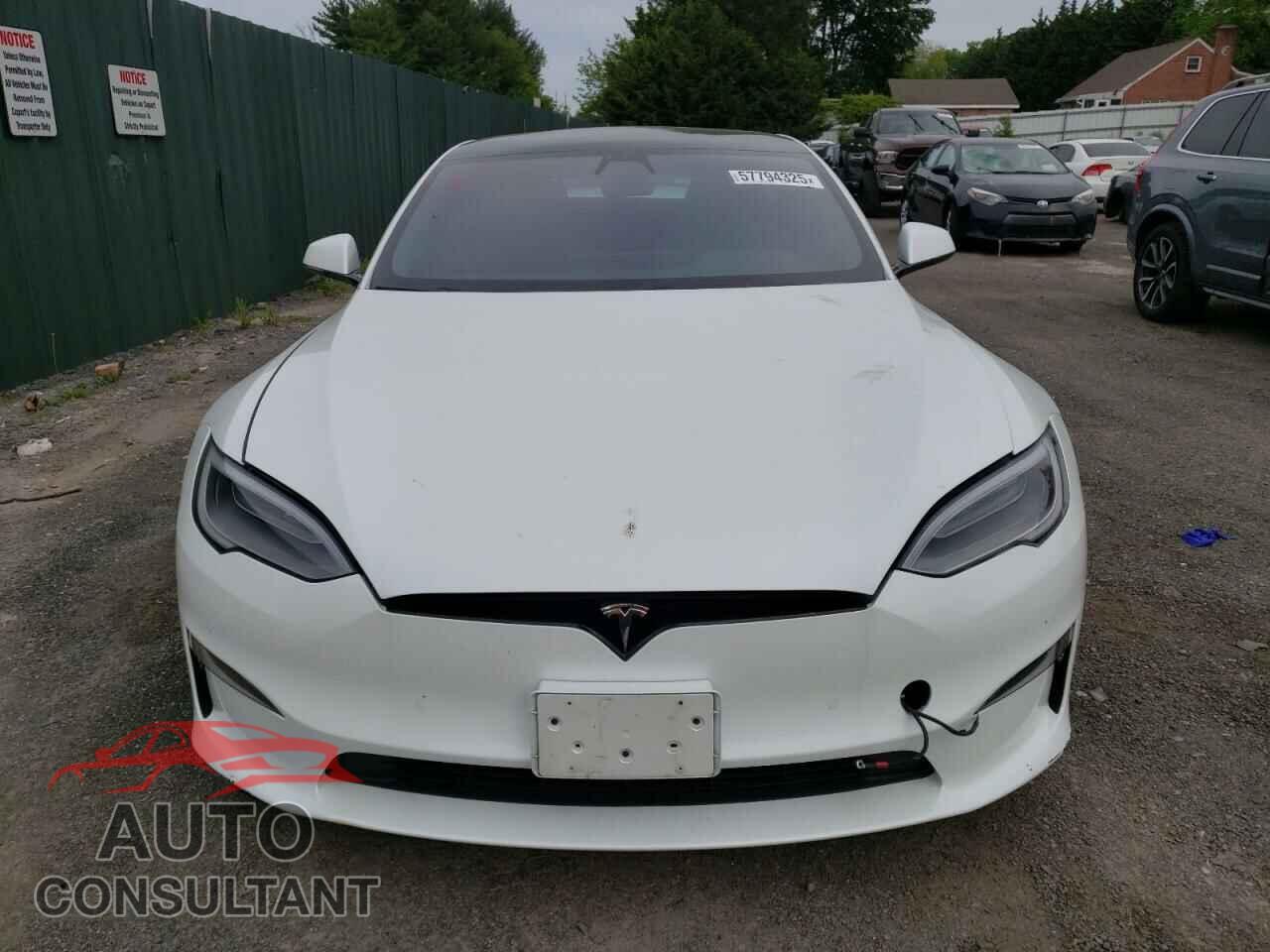 TESLA MODEL S 2021 - 5YJSA1E59MF438359