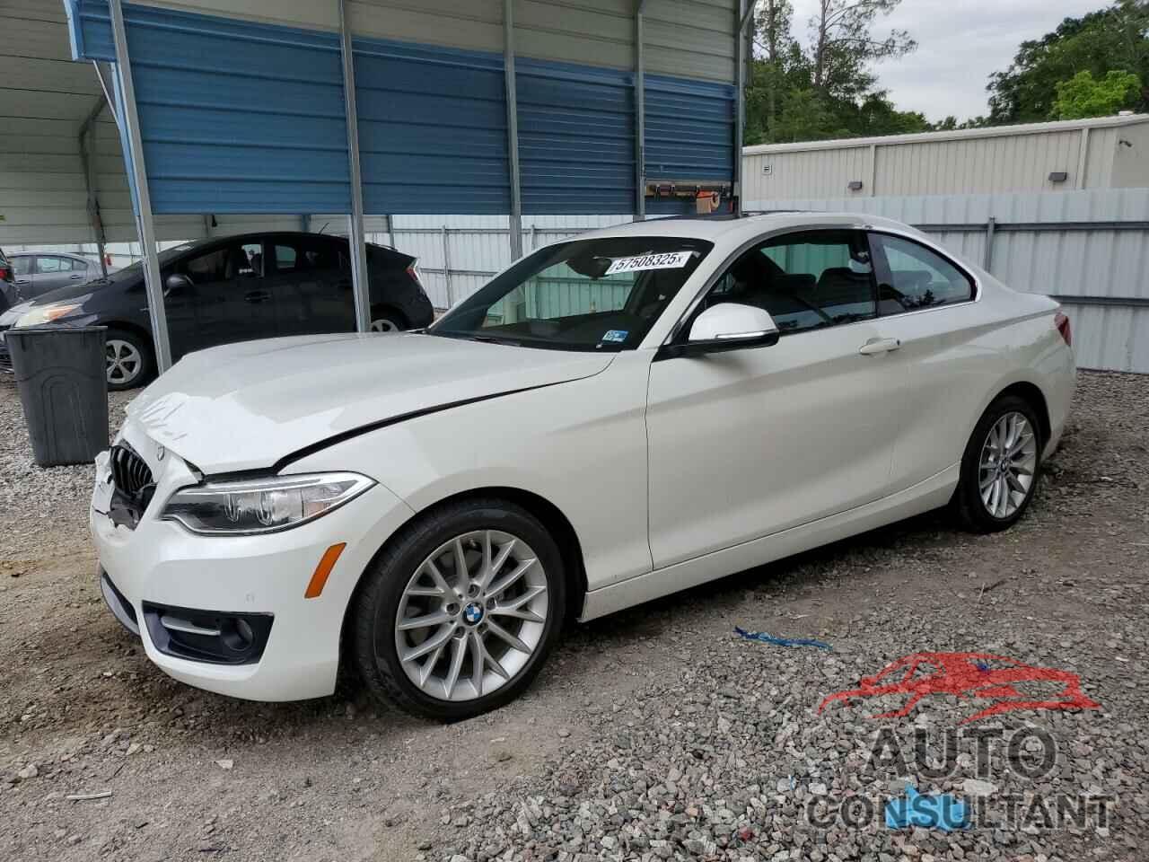 BMW 2 SERIES 2016 - WBA1G9C54GV599426