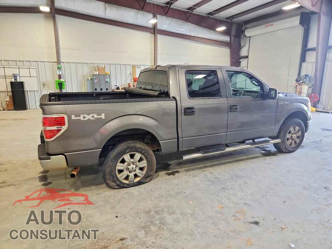 FORD F150 2010 - 1FTEW1E86AFC53766