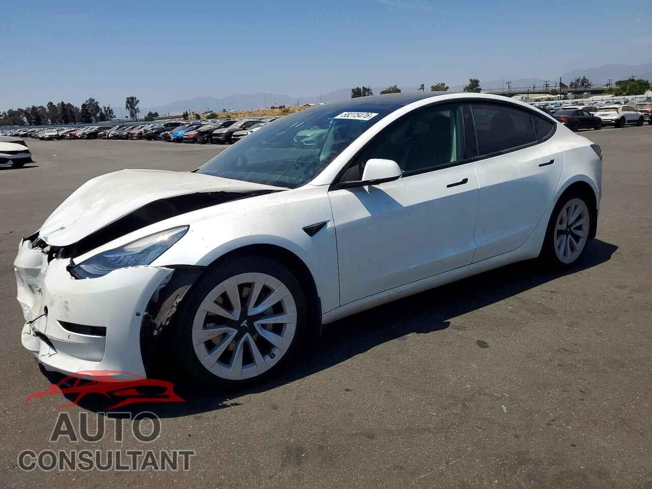 TESLA MODEL 3 2022 - 5YJ3E1EA8NF245899