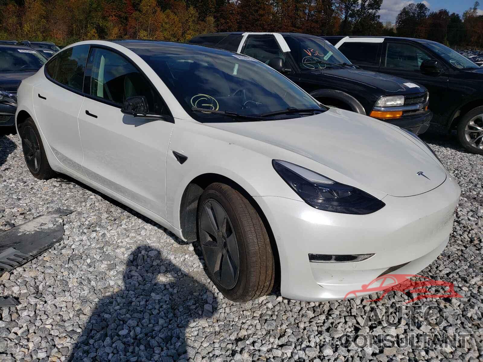 TESLA MODEL 3 2021 - 5YJ3E1EA9MF920979