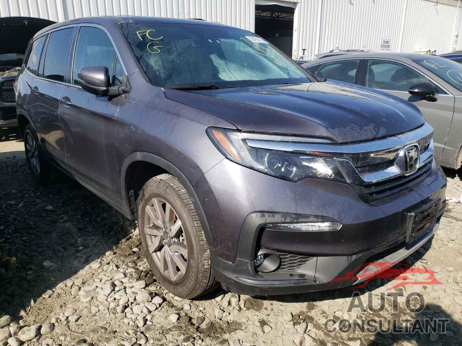 HONDA PILOT 2019 - 5FNYF6H57KB070300
