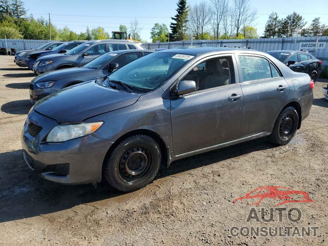 TOYOTA COROLLA 2009 - 2T1BU40E09C180258