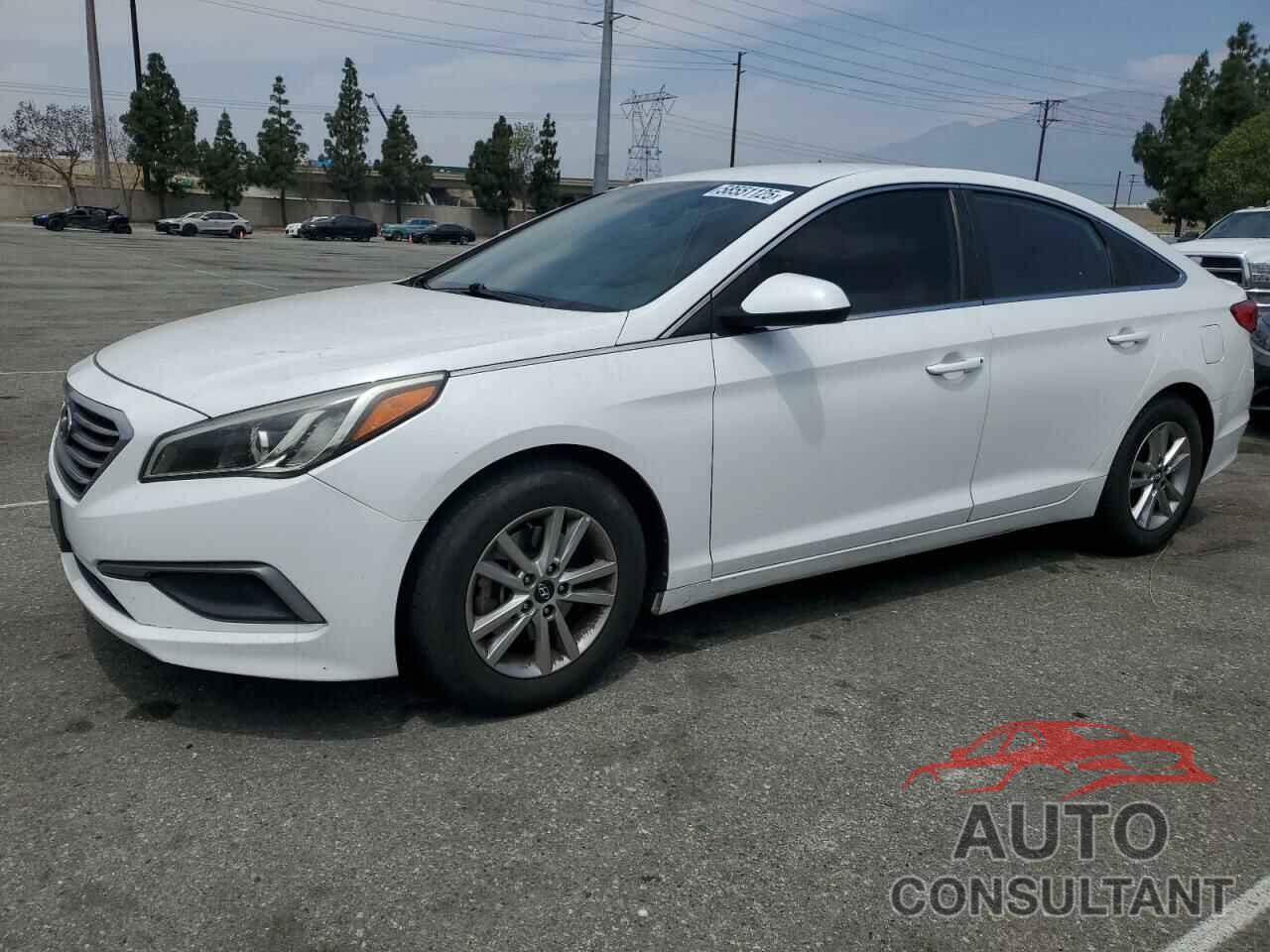 HYUNDAI SONATA 2017 - 5NPE24AF0HH555572